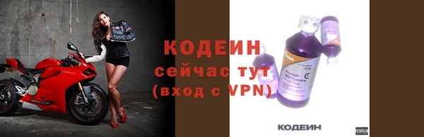 амф Бородино