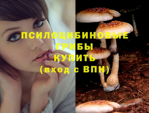 амф Бородино