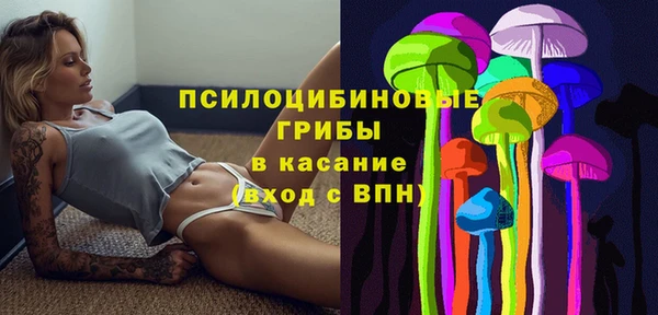 амф Бородино
