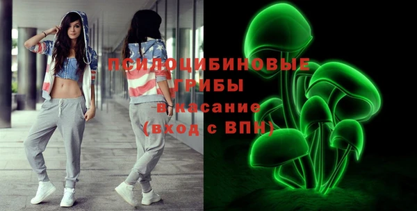 амф Бородино